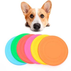 Frisbee para Cães Personalizado 1